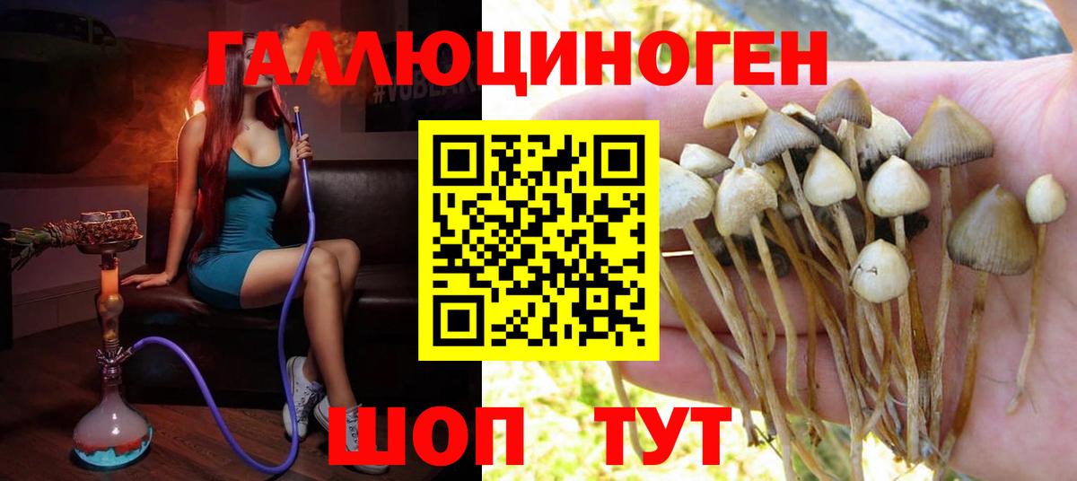 Добрянка  Псилоцибиновые грибы MAGIC MUSHROOMS  Вход с VPN  Галлюциногенные грибы Cubensis 